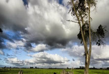 探索天涯论坛情感社区——那些温暖的瞬间